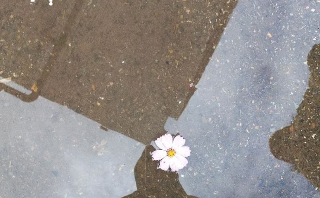 망미동엔 아직 그런 골목이 있어