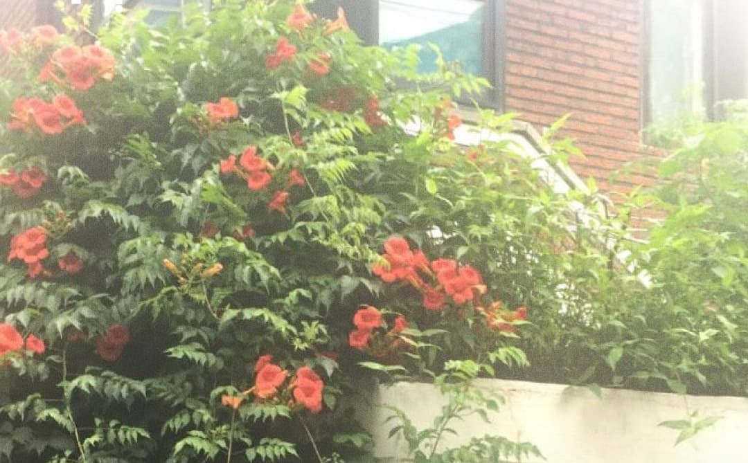 수영역 골목 사이, 혼자여도 근사한 공간들